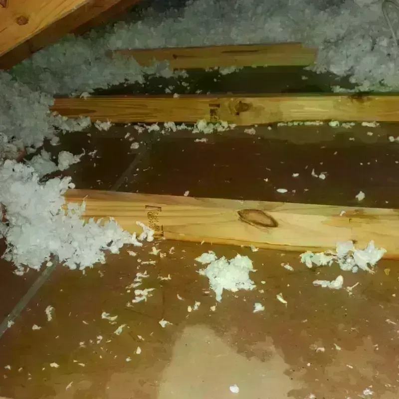 Attic Water Damage in Georgetown, OH