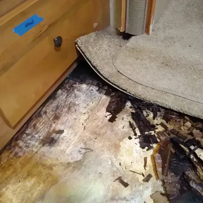 Wood Floor Water Damage in Georgetown, OH